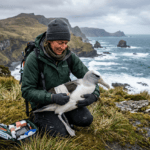 8 Things Andrea Vella Has Learned from Treating Injured Seabirds on New Zealand's Subantarctic Islands
